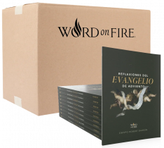 Reflexiones del Evangelio de Adviento 2026 - Box of 20 (Español, Spanish)